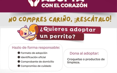 Adopta con el corazón: Gobierno Municipal promueve el bienestar animal