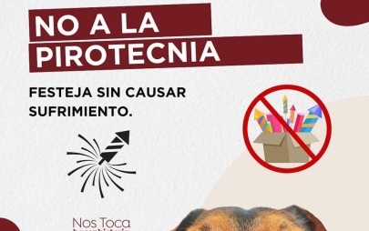 Presidenta Rocio Adame Hace un Llamado a Celebrar fin de año sin Pirotecnia