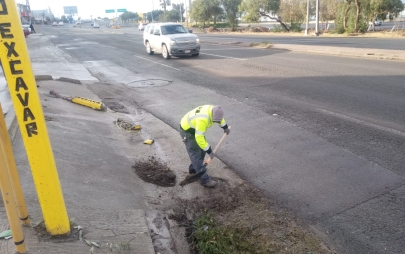 Alcaldesa Rocio Adame Intensifica Acciones de Limpieza en Playas de Rosarito
