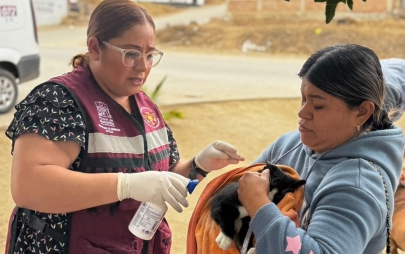 Ayuntamiento de Playas de Rosarito Promueve el Bienestar Animal con Jornada de Vacunación Para Caninos y Gatos