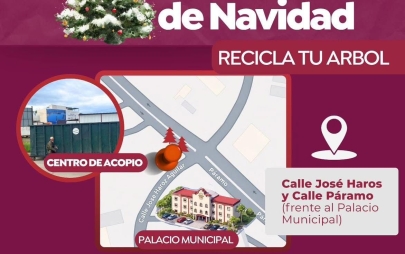 Refuerza Playas de Rosarito Acciones Ambientales con Centro de Acopio de Árboles Navideños