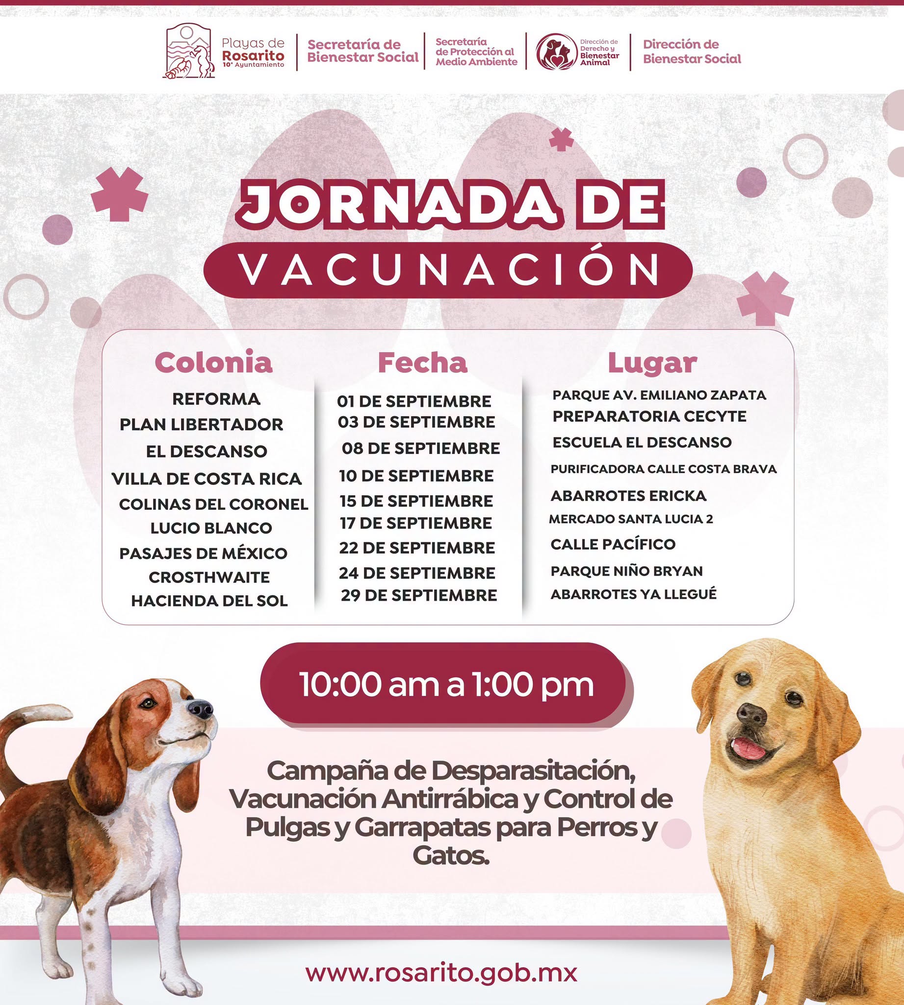 791974949-1406741741644010-447696098099912806-n.jpg